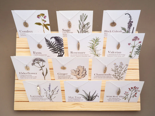 Botanical Amulets - Aloe